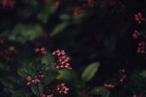Meditation for self love